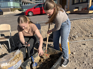 Greenbuildinglab Mixing Earth with Grass