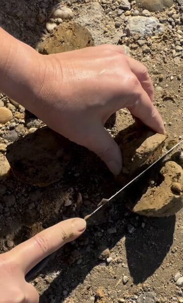 Greenbuildinglab Cutting Earth